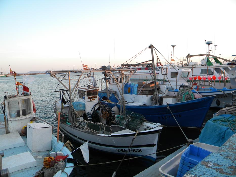 Boats Fishing in Girona