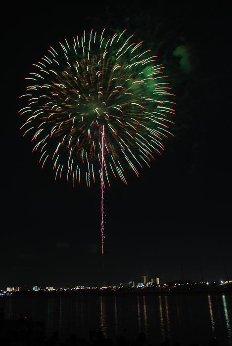 Green Flowers Fireworks at night