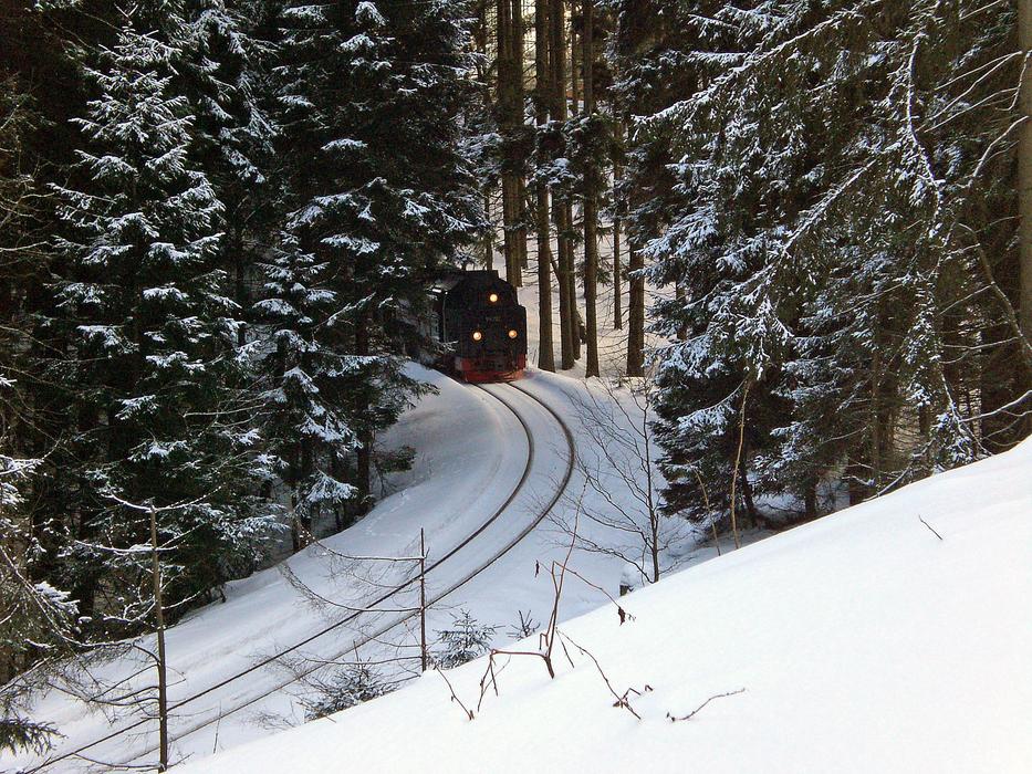 railway near coniferous forest in winter