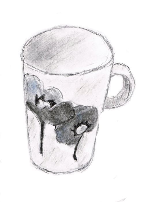 Drawing Cup Sketch