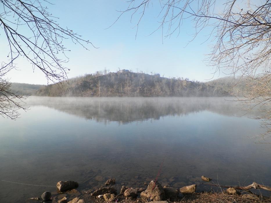 hill with trees near the lake