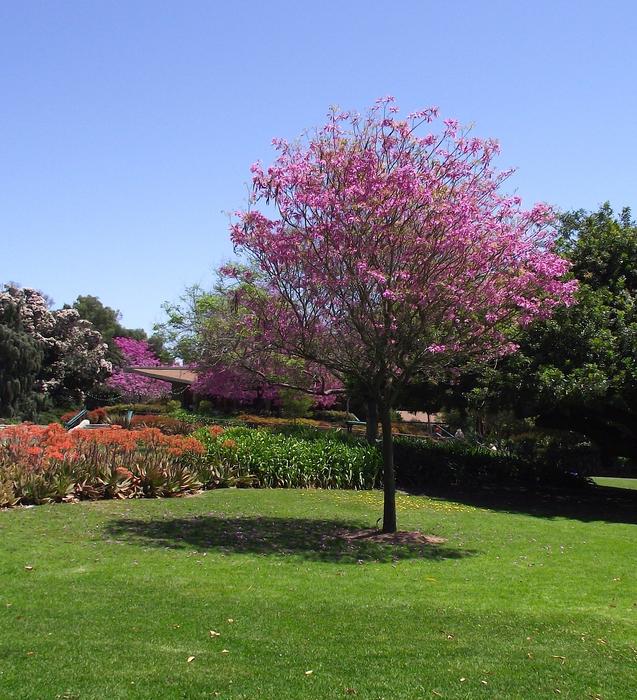 California Spring Summer