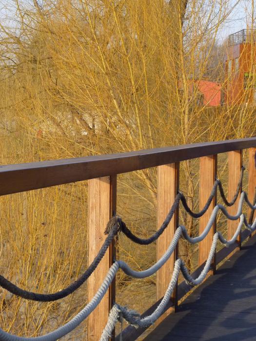 Beautiful landscape with trees, from the bridge with fence