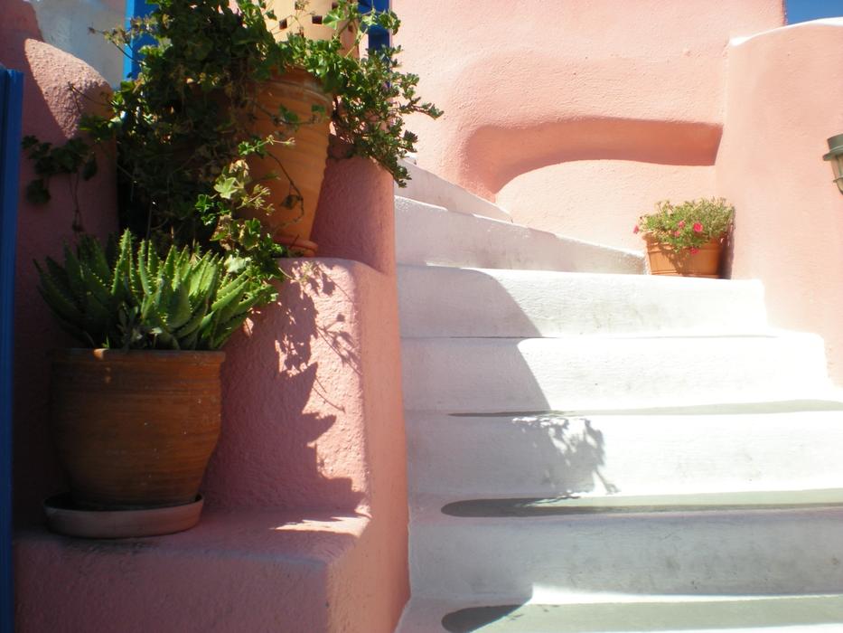 potted Flowers at Stairs, Greece, Santorini