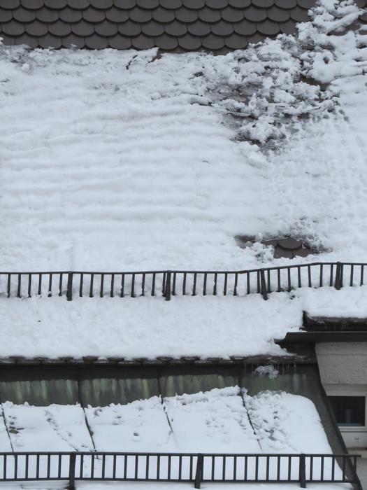 snow on the roof as a danger