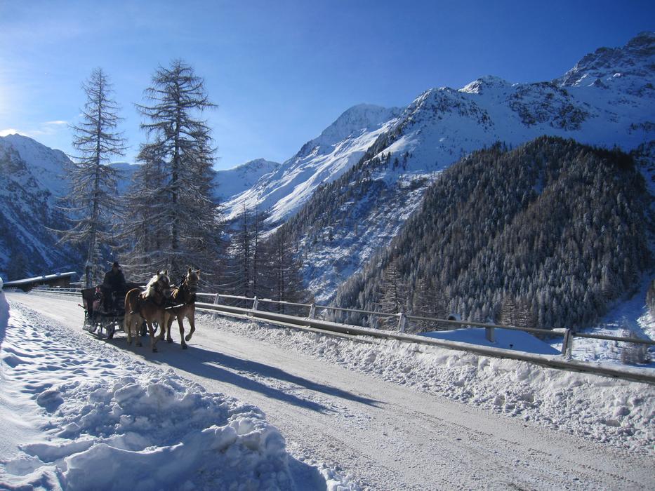 Beautiful, snowy landscape with the horses among the mountains in Solda in the winter