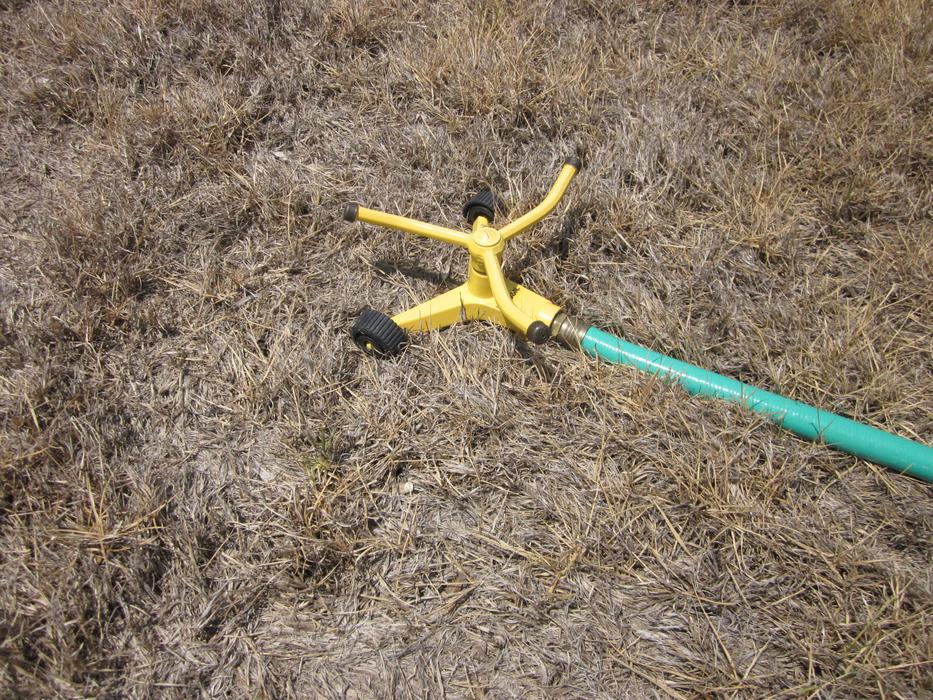 Drought Summer Grass sprinkler