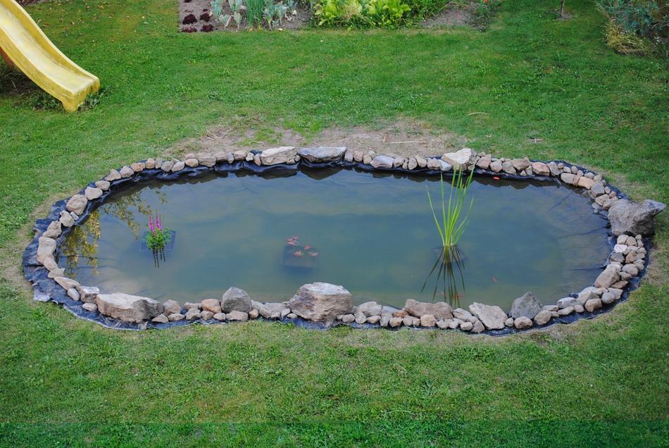 Beautiful and colorful pond, among the colorful plants in the garden with playground
