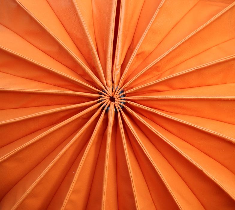 Close-up of the beautiful, orange lampion