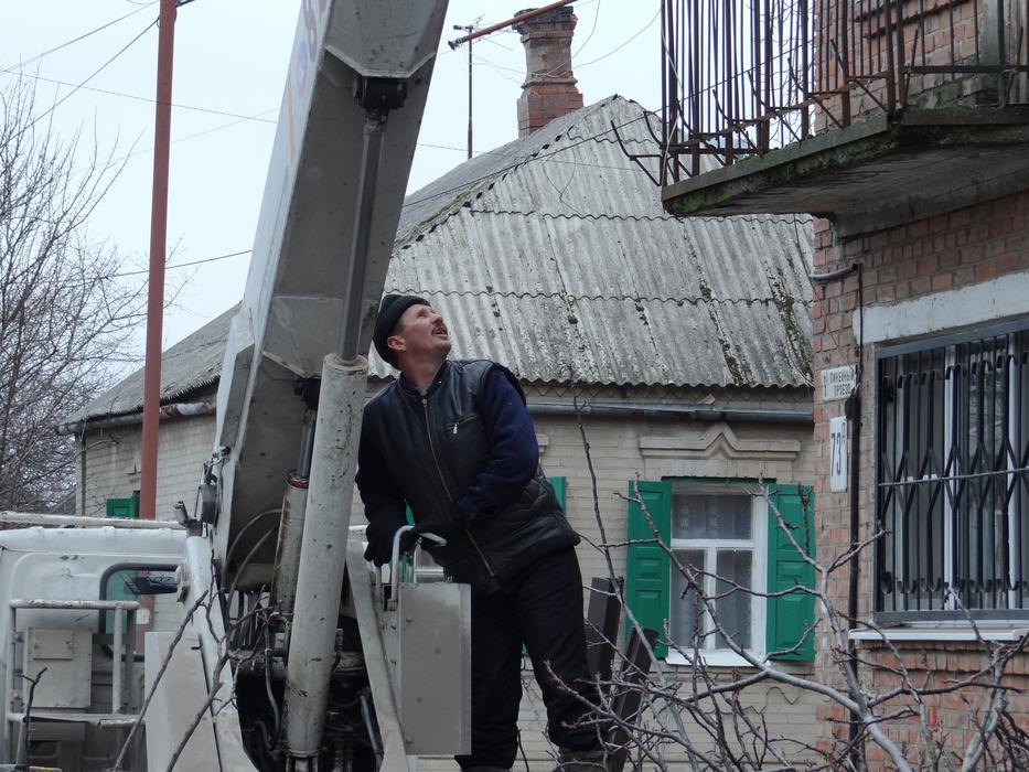 sawing old trees along buildings