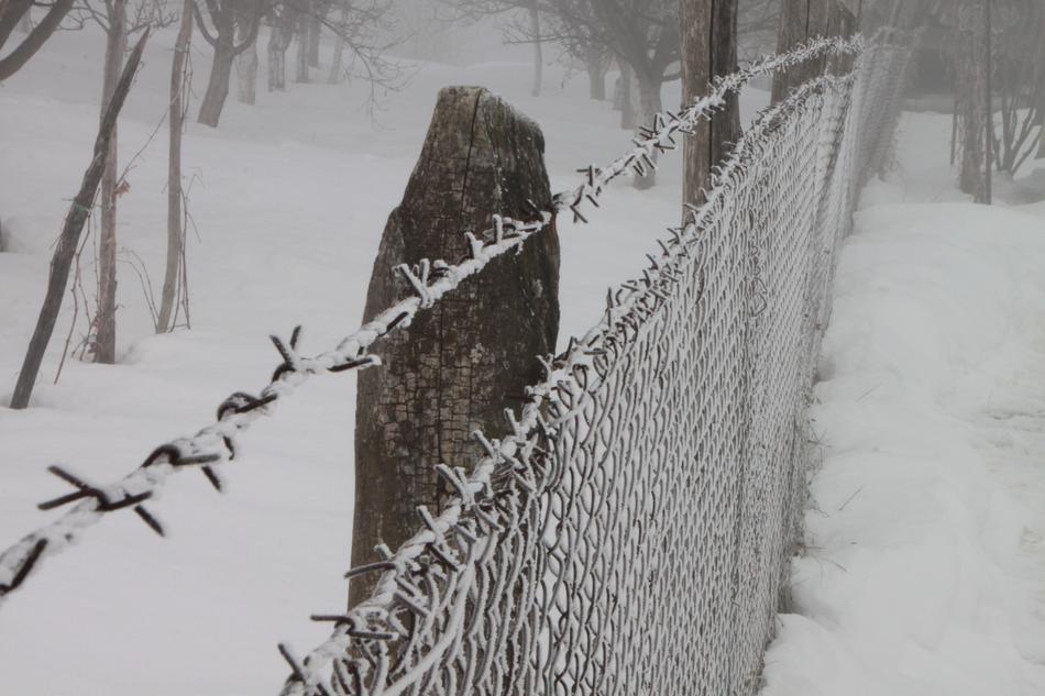 Cold Fence Frozen close-up