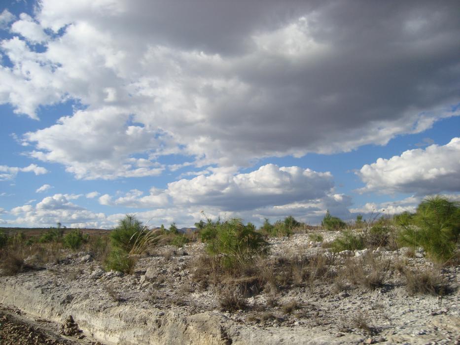 steppe, rocks and sky