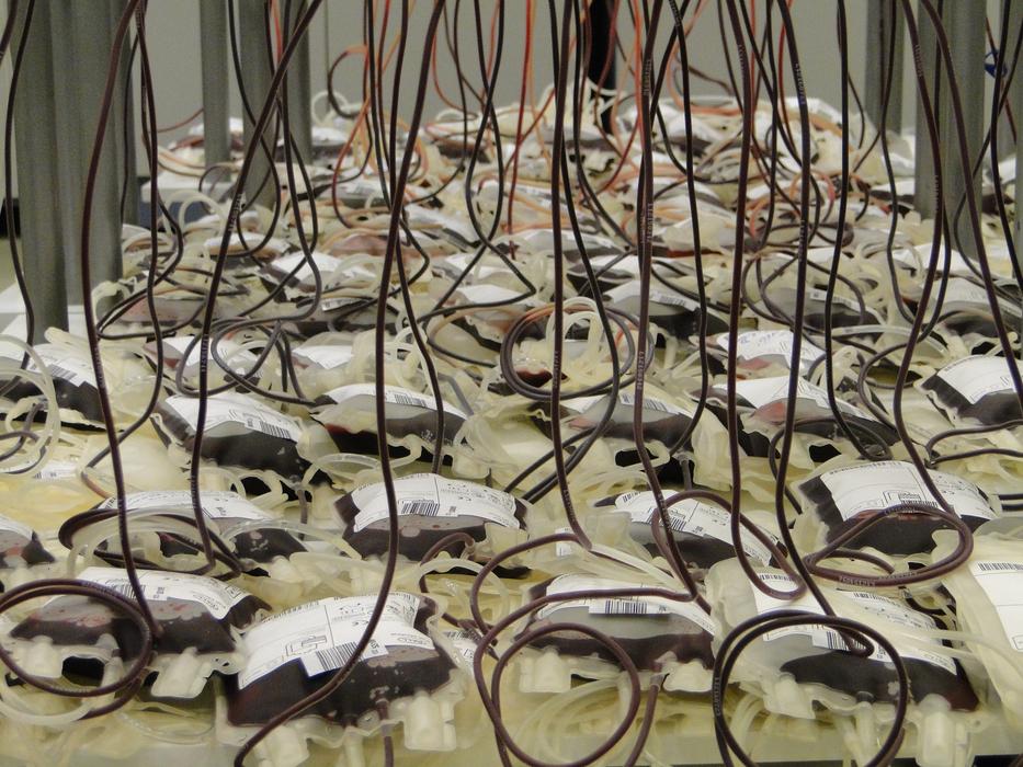 donated blood bags