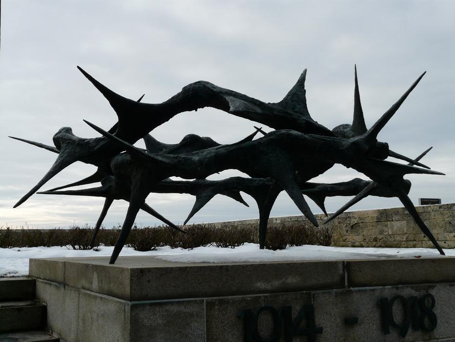 Crown Of Thorns in Lerchenberg