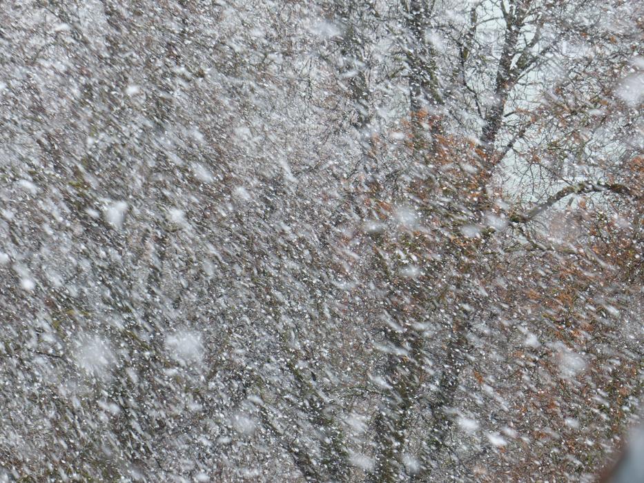 Blizzard Flurry Snowflakes at winter