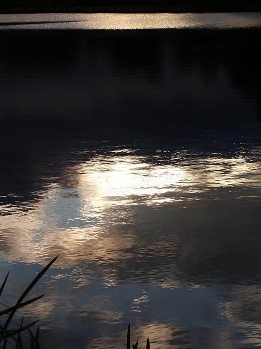 Water Pond Evening
