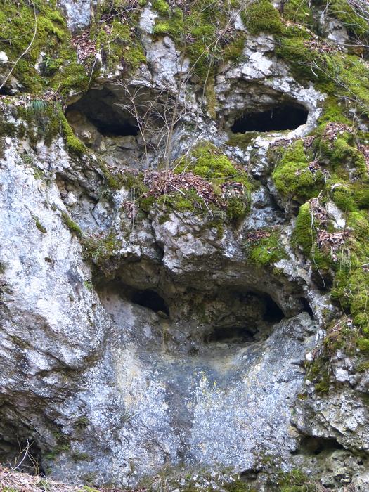 Rocky Caved Face