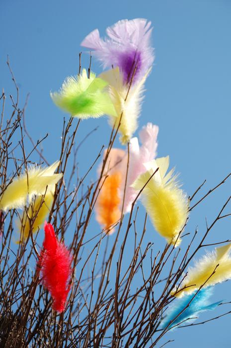 Coloured Feathers Easter