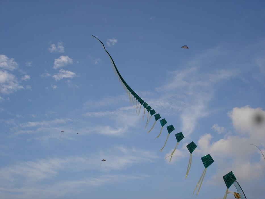 Kites In The Sky