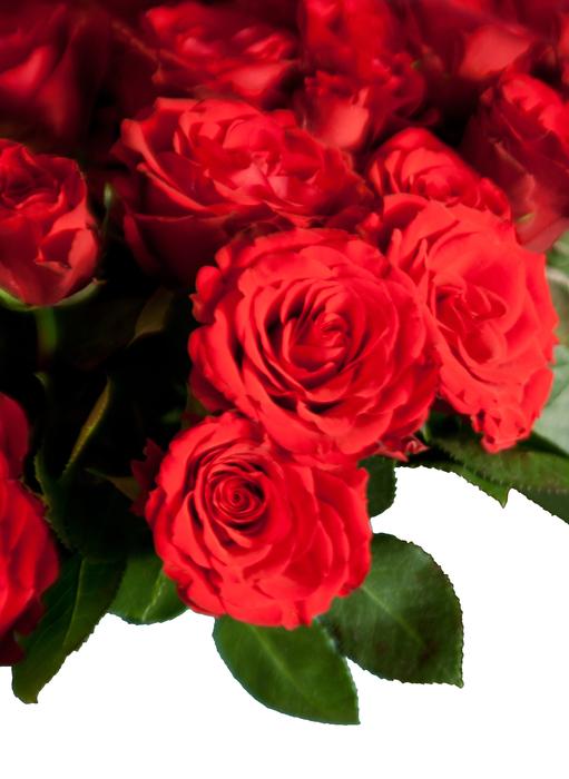 Roses Bouquet Flowers