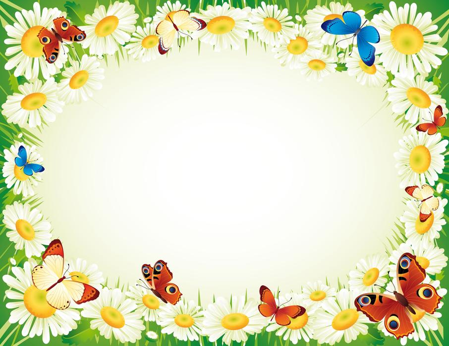 frame butterfly flower