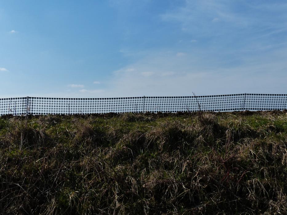 Snow fence among the colorful grass, under the blue sky with clouds