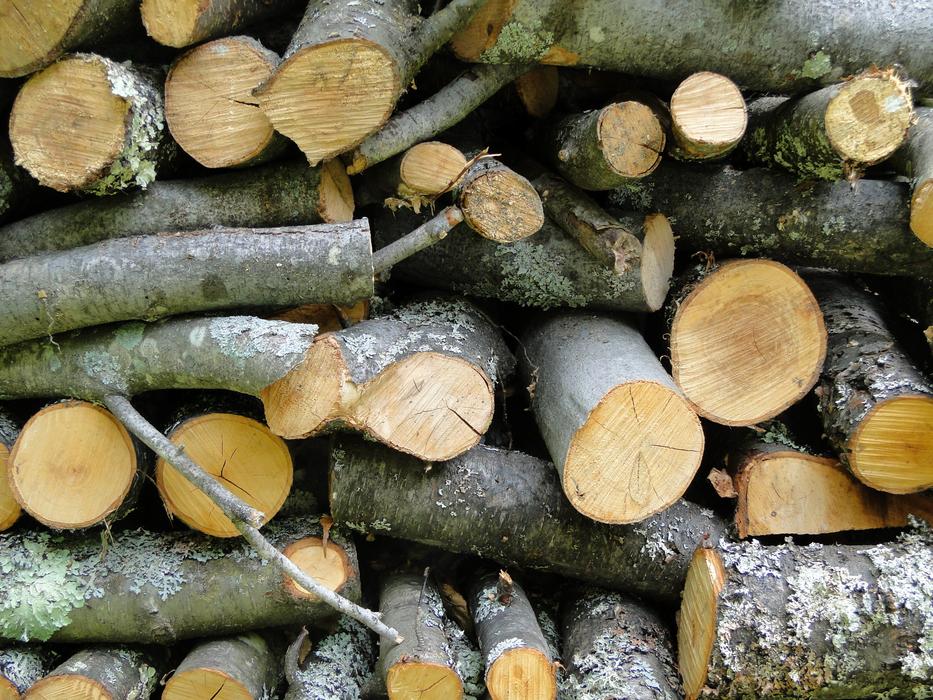 Wood Cord Logs