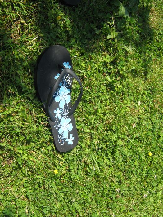Flip Flops Shoe on Meadow