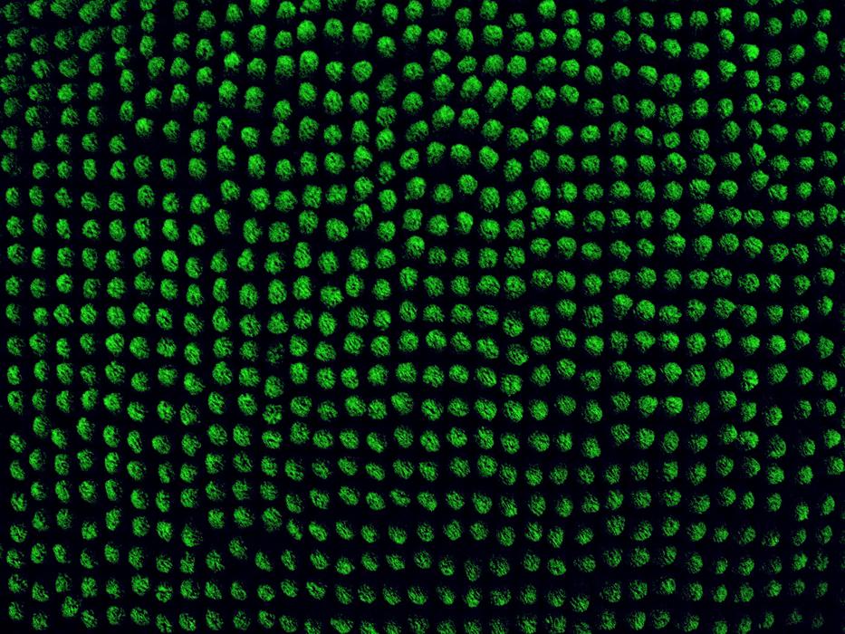pixels surface green background
