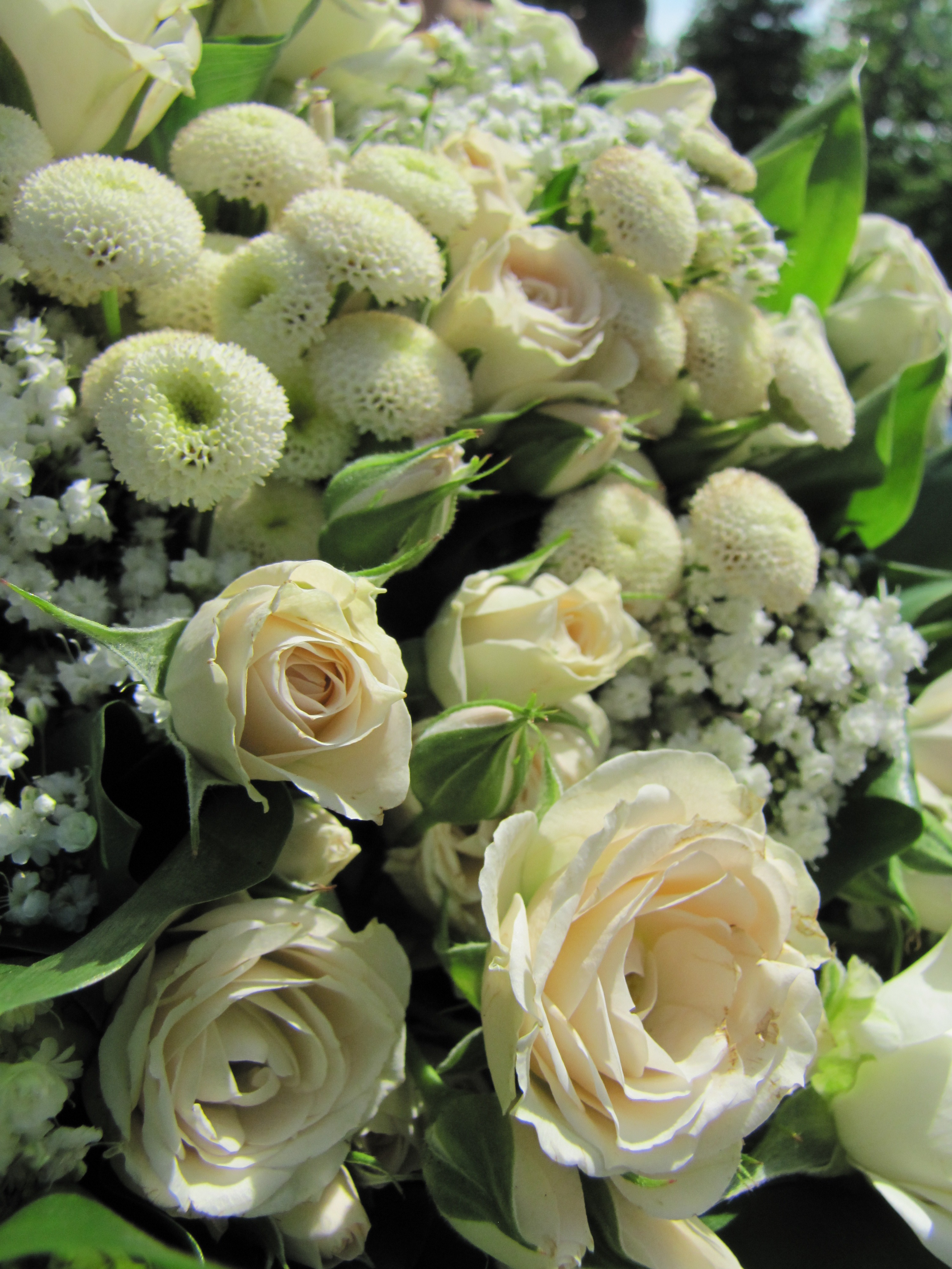 Magnificent Green and white Rose Flowers bouquet free image download