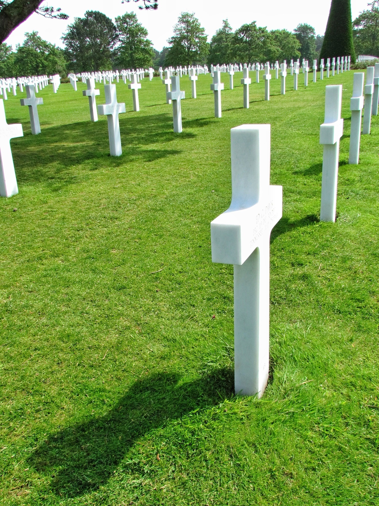 White crosses on a war memorial in France free image download