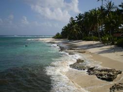 tropical sandy coast San AndrÃ©s Islands