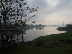 River Scenery Greens