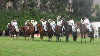 horseback riders