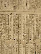 Beautiful hieroglyphics on the wall of the building, in Egypt