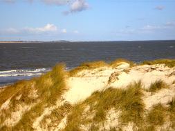 North Sea sand Dunes on Island