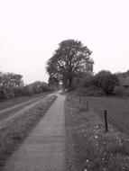 Agricultural Nutzweg Graze