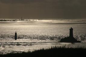Landscape of the shore of the sea, with grass, in sunlight