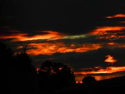 Sky Flames Orange