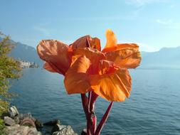 Montreux Lake Geneva