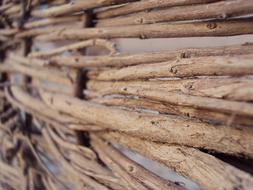 Wood Structure close-up