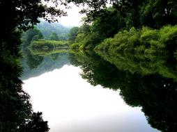 green trees are reflected in the river Doubs