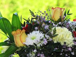 bouquet of summer flowers on a blurred background