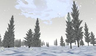 winter snowy fir trees