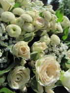 magnificent Green and white Rose Flowers bouquet