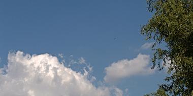 green tree, sky, clouds