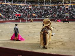 Toro Torero Plaza