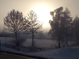 Winter snowy countryside