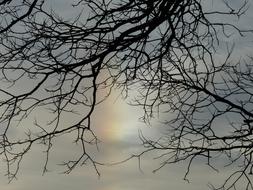 rainbow phenomenon in gray clouds