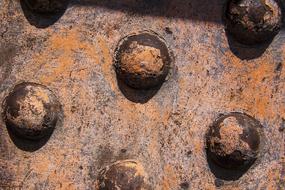 Rusted Heads Rivet